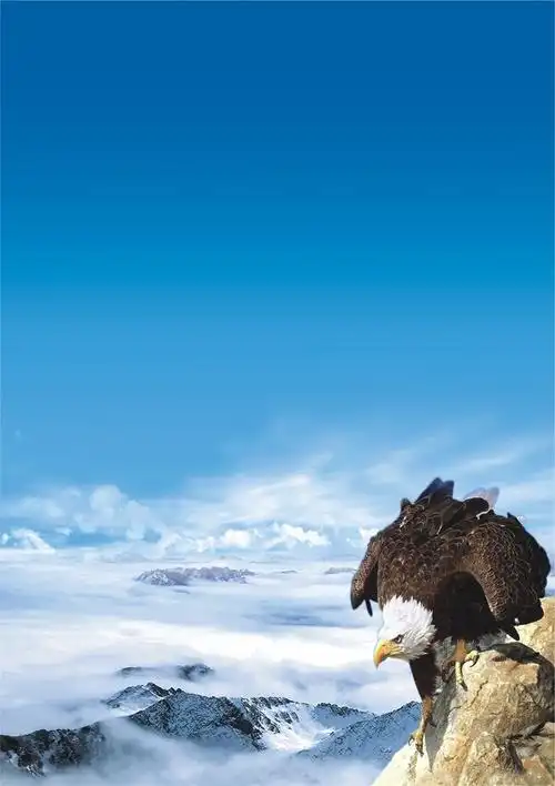尼龙地毯的价格